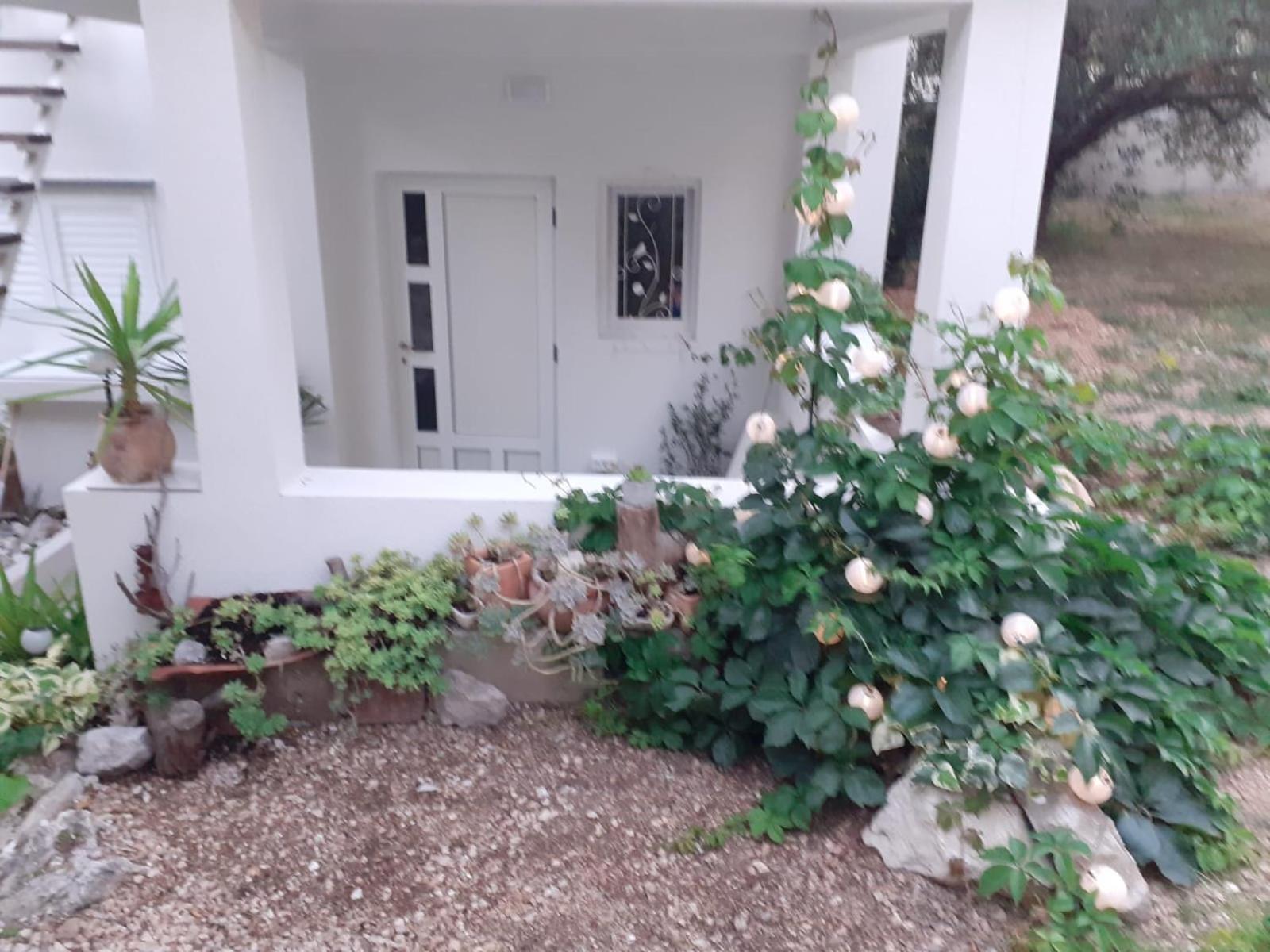 Villa Ana Makarska Zimmer foto